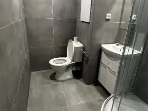 Pronájem bytu 1+1, Ostrava, Vincence Makovského, 38 m2