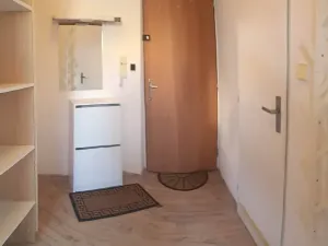 Pronájem bytu 1+kk, Brno, Skopalíkova, 25 m2