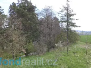 Prodej pozemku, Dešná - Dančovice, 1277 m2