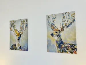 Pronájem bytu 2+1, Jihlava, Farní, 56 m2