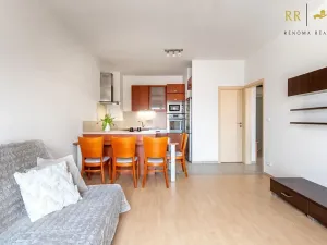 Pronájem bytu 2+kk, Brno, Zlínská, 55 m2
