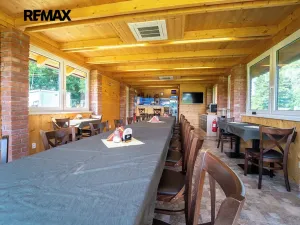 Prodej komerční nemovitosti, Chrášťany, 10917 m2