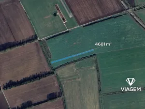 Prodej pole, Bánov, 4681 m2