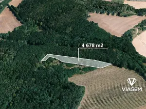 Prodej podílu lesa, Dolní Kounice, 1559 m2