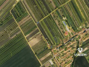 Prodej podílu pole, Prušánky, 42 m2