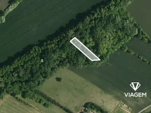 Prodej podílu lesa, Telnice, 462 m2