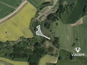 Prodej podílu lesa, Žirovnice, 1457 m2