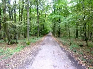 Pronájem bytu 2+kk, Praha - Háje, Jurkovičova, 52 m2