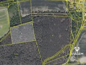 Prodej podílu lesa, Hrdlív, 2102 m2