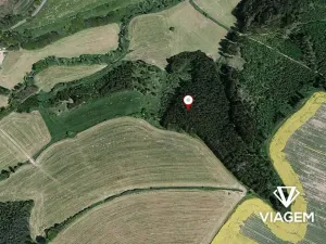 Prodej podílu lesa, Radošovice, 2390 m2