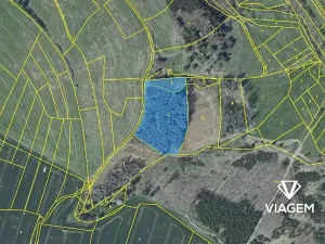 Prodej podílu lesa, Radošovice, 2390 m2