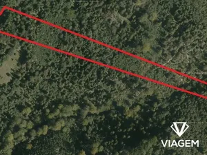 Prodej podílu lesa, Nýdek, 3108 m2