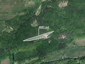 Prodej lesa, Bratřejov, 4091 m2