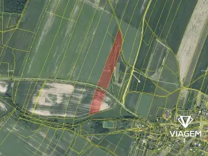 Prodej podílu pole, Melč, 6764 m2