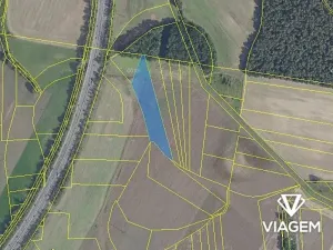 Prodej podílu pole, Nový Vestec, 2331 m2