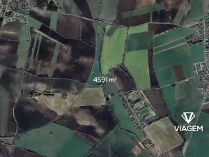 Prodej podílu pole, Pňov-Předhradí, 1912 m2