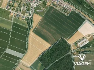 Prodej podílu pole, Velký Borek, 2045 m2