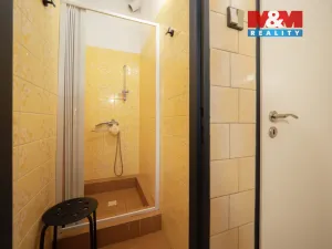 Prodej restaurace, Želízy, 640 m2