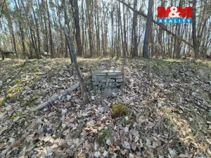 Prodej chaty, Plešnice, 64 m2