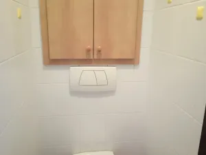 Pronájem bytu 1+1, Orlová, Ke Studánce, 36 m2