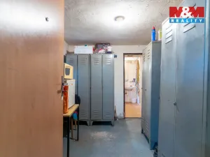 Prodej výrobních prostor, Bedihošť, Komenského, 180 m2