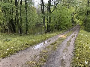 Pronájem rybníku, Votice, 2482 m2