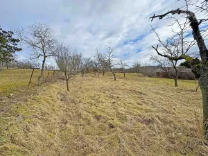 Prodej zahrady, Brno, Jámy, 1885 m2