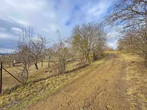 Prodej zahrady, Brno, Jámy, 1885 m2