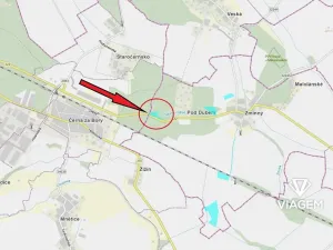 Prodej podílu lesa, Dašice, 3483 m2