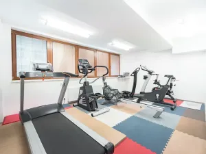 Prodej bytu 2+kk, Praha - Žižkov, Kališnická, 62 m2