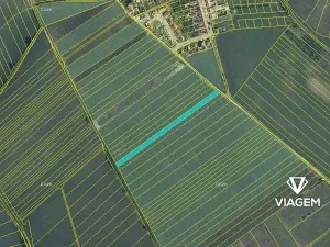 Prodej pole, Nový Poddvorov, 4528 m2