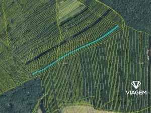 Prodej podílu lesa, Mistřice, 1097 m2