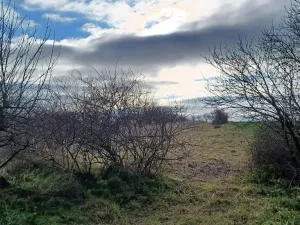 Prodej chaty, Strachotice, 36 m2