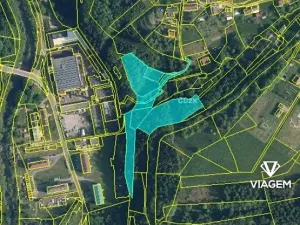 Prodej lesa, Velké Hamry, 9968 m2