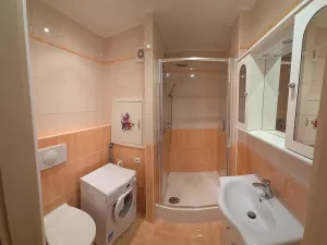 Pronájem bytu 1+1, Ústí nad Labem, Zvonková, 36 m2