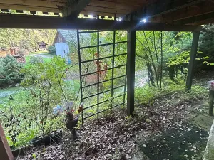 Prodej chaty, Chlístov, 41 m2