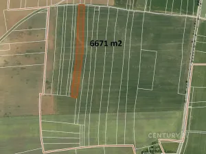 Prodej pole, Velvary, 6671 m2