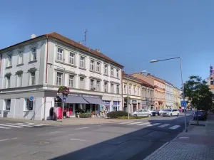 Pronájem obchodního prostoru, Lovosice, 8.května, 145 m2