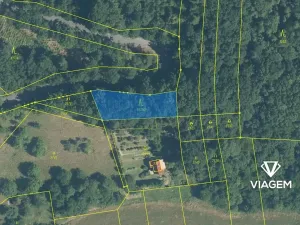 Prodej lesa, Milenov, 820 m2