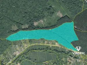 Prodej podílu lesa, Bánov, 76973 m2