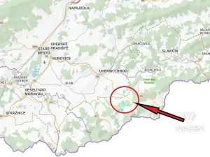 Prodej podílu lesa, Bánov, 76973 m2