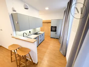 Pronájem bytu 1+kk, České Budějovice, Družstevní, 30 m2