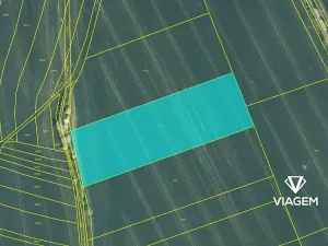 Prodej podílu pole, Zborovice, 1819 m2