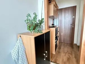 Pronájem bytu 1+1, Ostrava - Poruba, Vincence Makovského, 38 m2