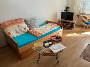 Pronájem bytu 1+kk, Ostrava - Poruba, Nálepkova, 28 m2