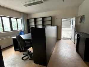 Prodej výrobních prostor, Karlovy Vary, K Přehradě, 8061 m2