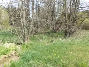 Prodej pole, Mezno - Stupčice, 8388 m2