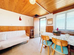 Prodej chaty, Vysoké Mýto, Vinice, 17 m2