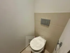 Pronájem bytu 3+1, Brno, Smetanova, 125 m2