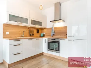 Pronájem bytu 1+kk, Olomouc, Eduarda Hamburgera, 33 m2